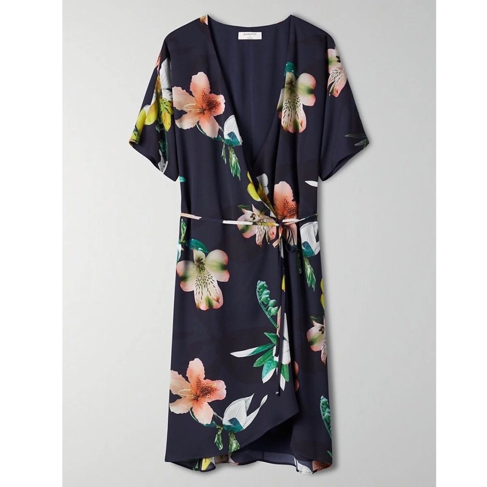 Aritzia Babaton Wallace Floral Dress